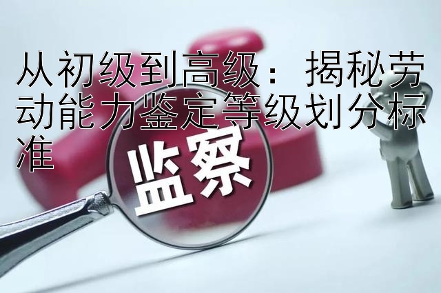 从初级到高级：揭秘劳动能力鉴定等级划分标准