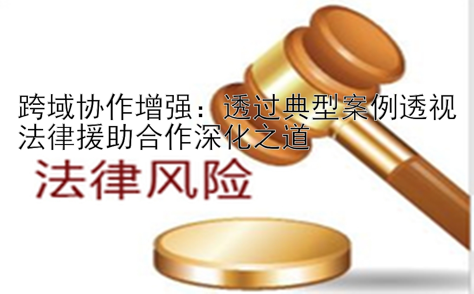 跨域协作增强：透过典型案例透视法律援助合作深化之道