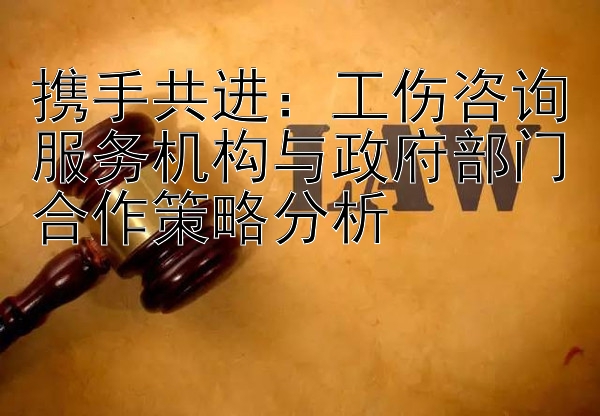 携手共进：工伤咨询服务机构与政府部门合作策略分析