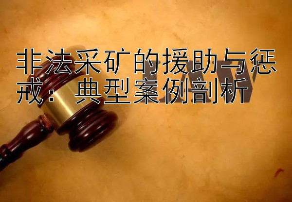 非法采矿的援助与惩戒：典型案例剖析